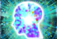 Chiropractors Gibsonia PA