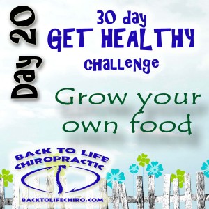 Read more about the article 30 Day Get Healthy Challenge, Day 20