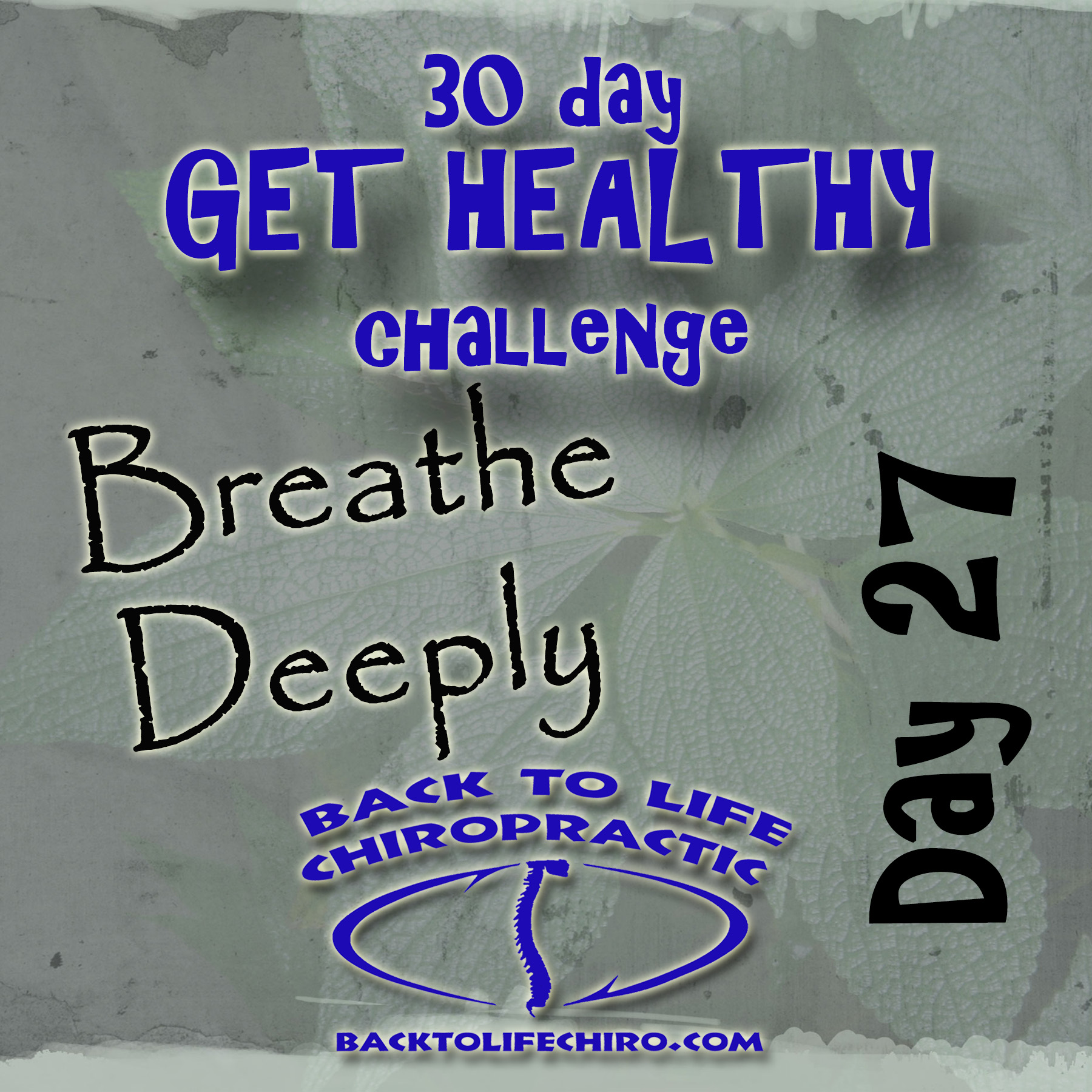 Read more about the article 30 Day Get Healthy Challenge, Day 27
