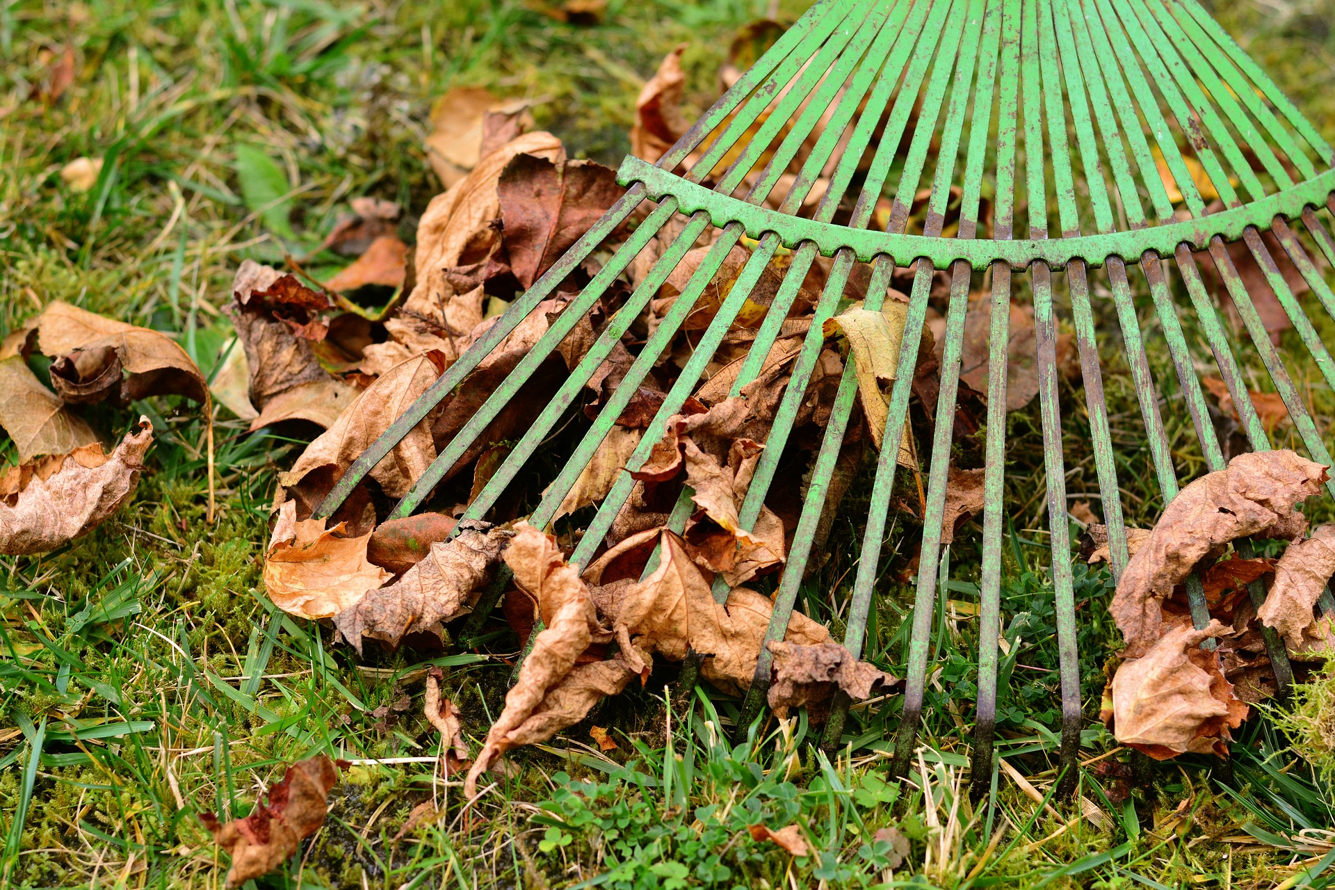 Read more about the article How to Avoid Injury While Raking Leaves